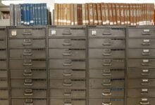 infoedge solutions backlink service