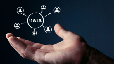 Data as a Strategic Business Asset